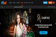 D9bet là nhà cái như thế nào? Nhà cái đẳng cấp châu Á